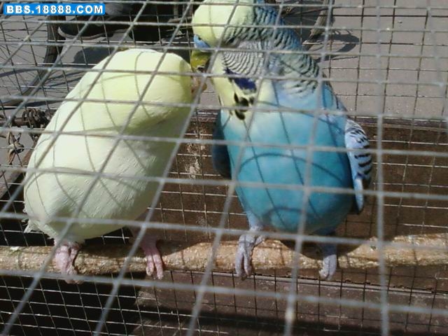 调整大小 20090503(070).jpg