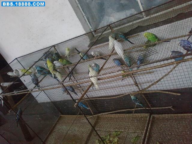 调整大小 20090503(119).jpg