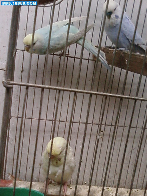 旋转 20090528(020).jpg