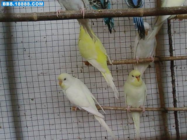 调整大小 20090503(089).jpg