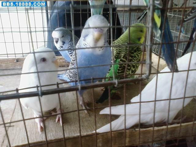 调整大小 20090503(128).jpg