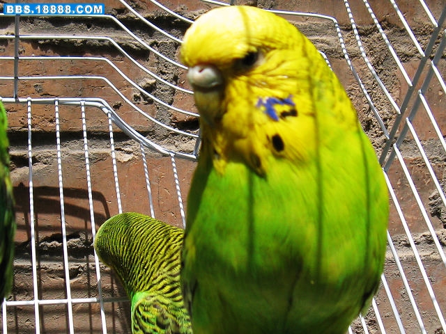 IMG_5455_nEO_IMG.jpg