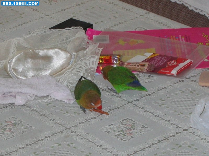 照片 143.jpg