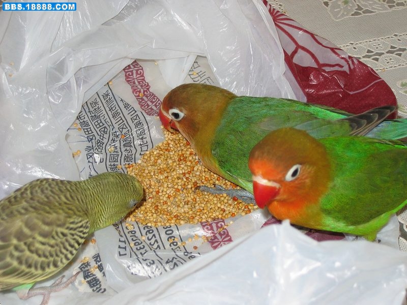 照片 157.jpg