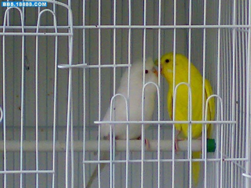 05052009603.jpg