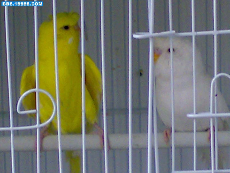 05052009596.jpg