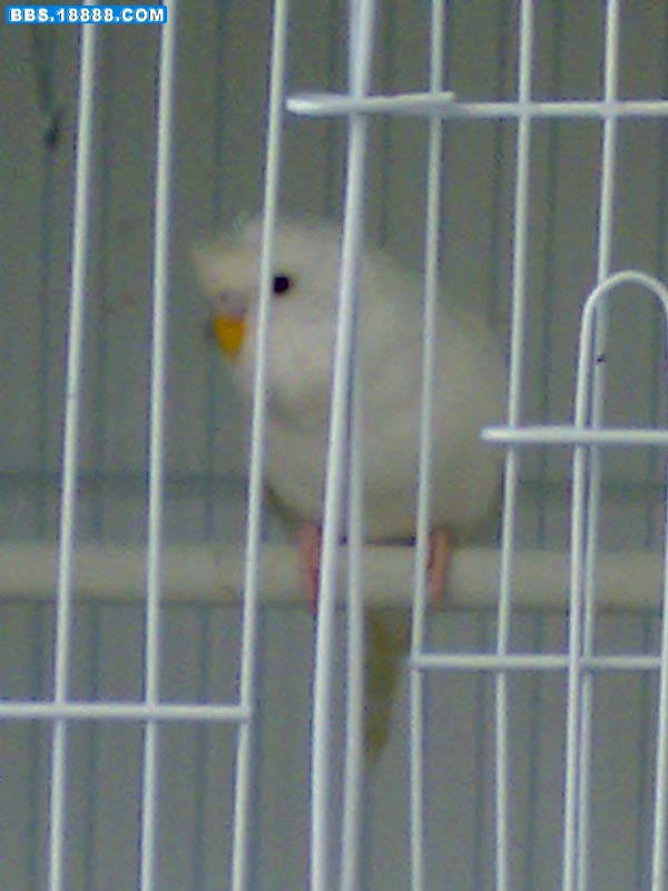05052009591.jpg