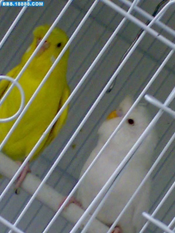 05052009598.jpg