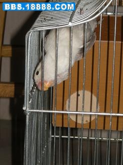 DSCN3978.JPG
