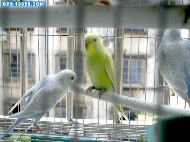 _MG_9730.jpg