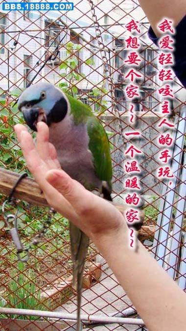 DSC00533.JPG