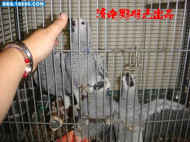 調整大小DSC01271.JPG