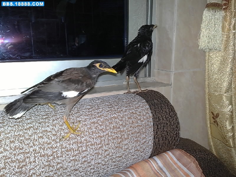 20090508110-001.jpg
