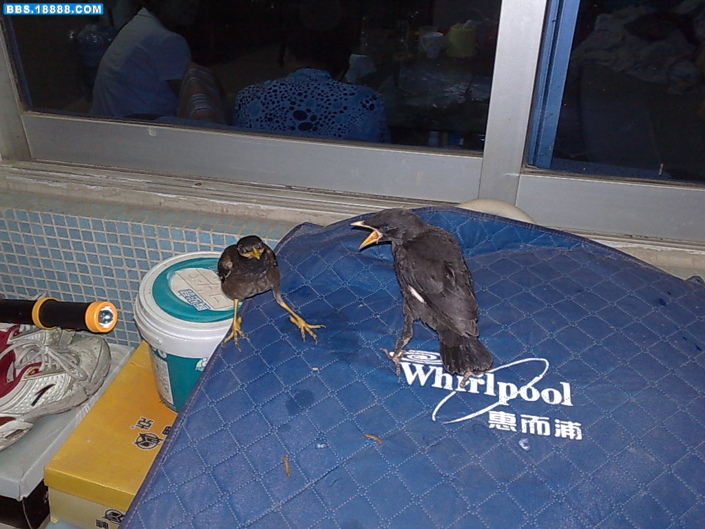 20090508093.jpg