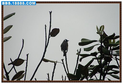 nEO_IMG_DSC02443.jpg