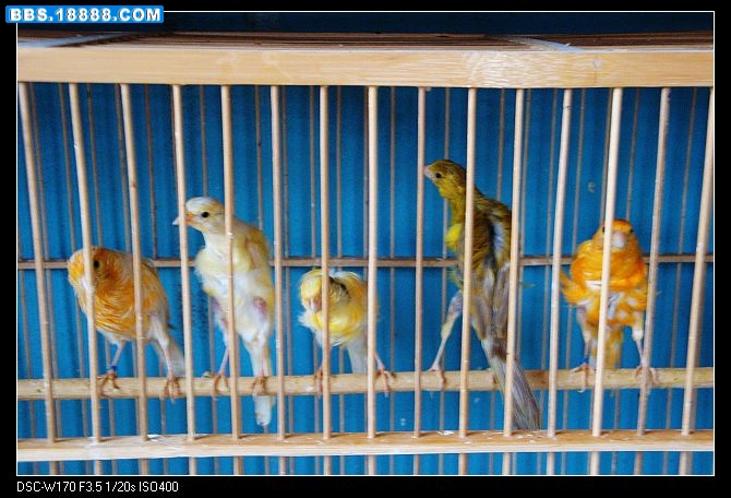 DSC00555.jpg