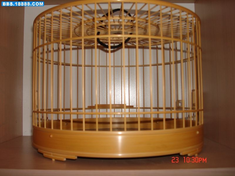 DSC01461.JPG