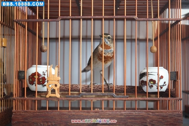 照片 447.jpg