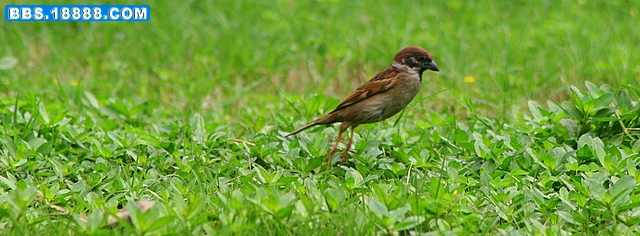 IMG_1282.JPG