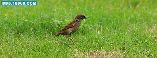 IMG_1284.JPG