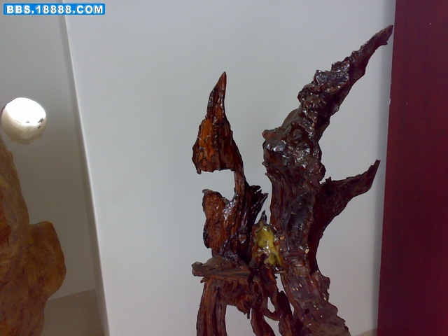20090527031.jpg