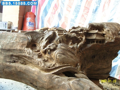 SNV16978.JPG