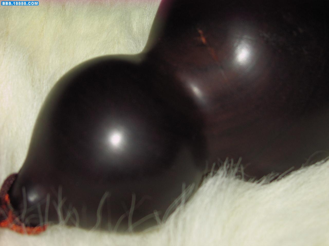 0904090857d4aa8f4de30286db.jpg
