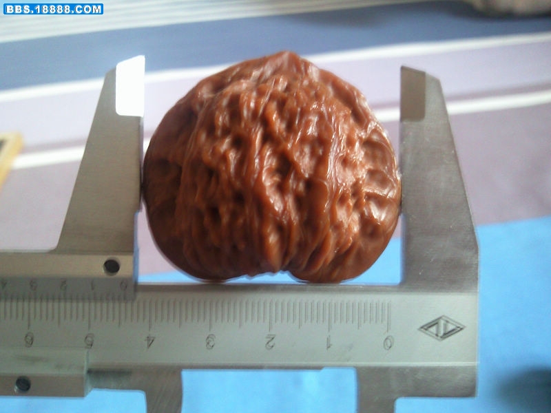 照片-0018.jpg