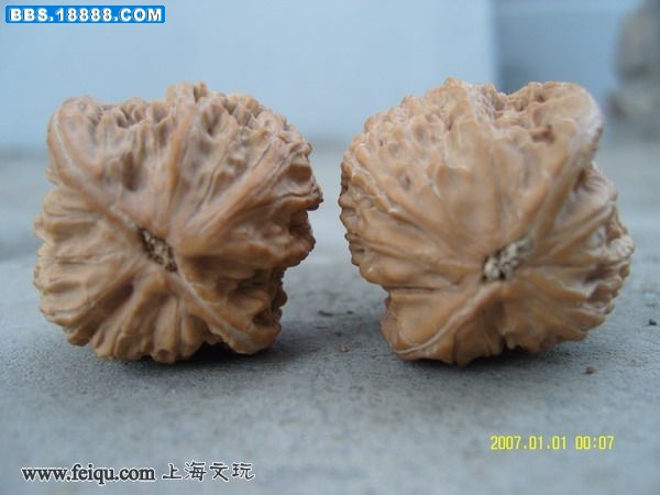20090531_517be32504bbc6e12df8lV6xm2hK8zSp.jpg