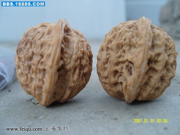 20090531_99706671da9c6f371721X5UGmlWfHiGM.jpg