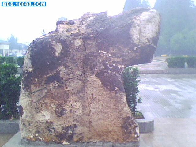 IMG0621A.jpg