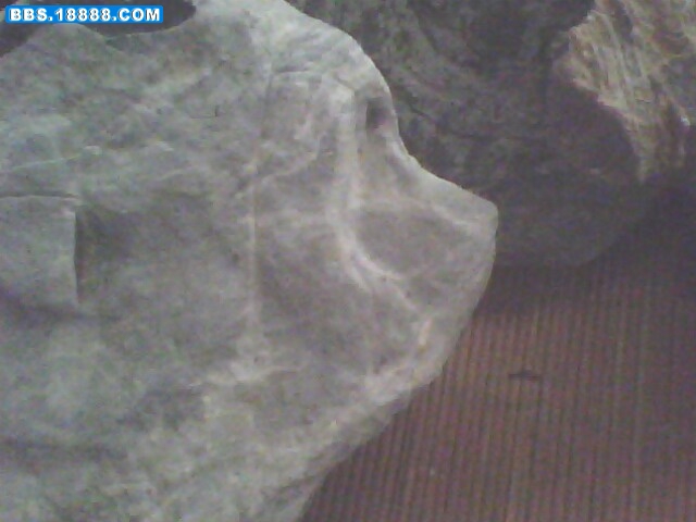 IMG0494A.jpg