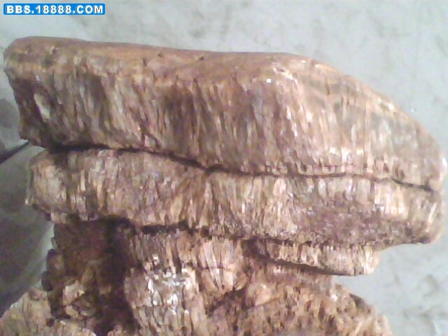 IMG0413A.jpg