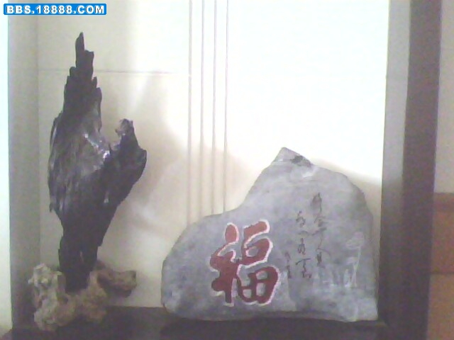 IMG0587A.jpg