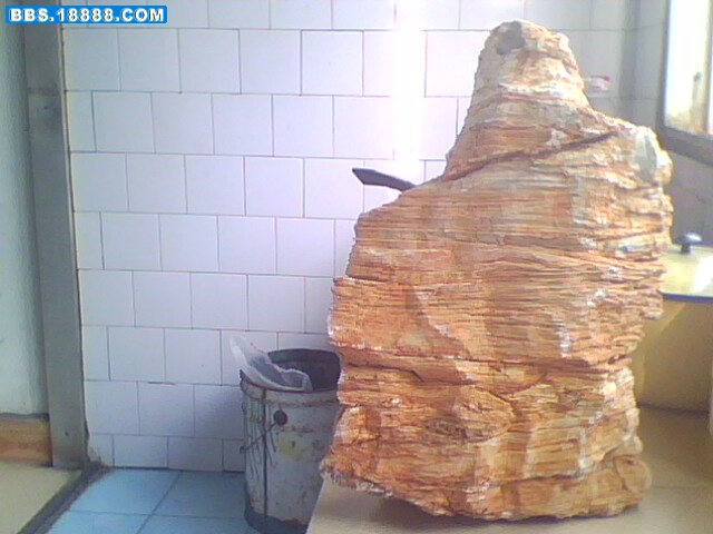 IMG0498A.jpg