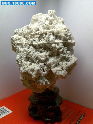 20090527232.JPG