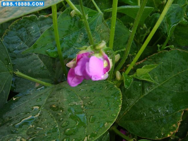 DSC00159.JPG