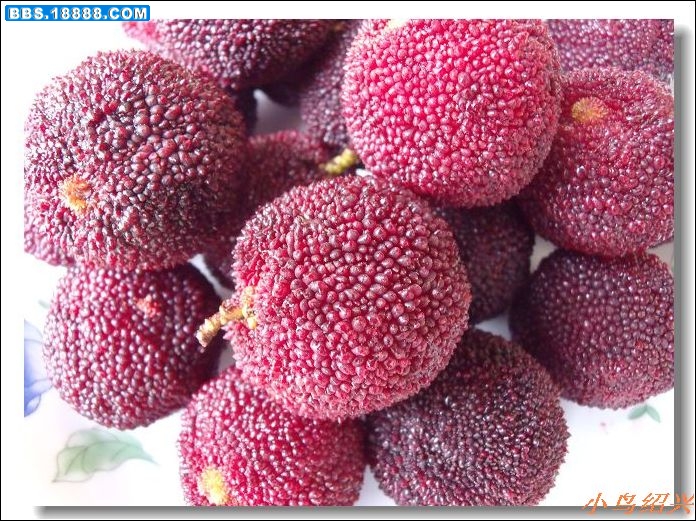 DSCF2558.jpg
