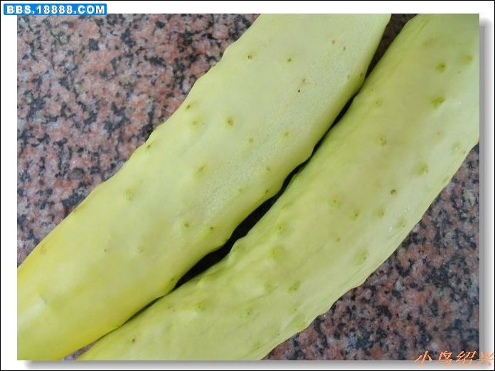 DSCF2564.jpg