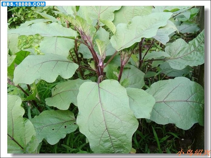 DSCF2541.jpg