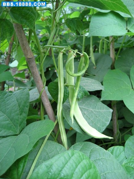 照片 051.jpg