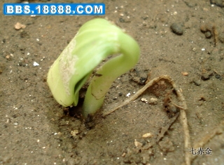 DSC01292.JPG