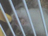 DSC00111.JPG