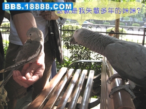 这是我妹妹？.jpg