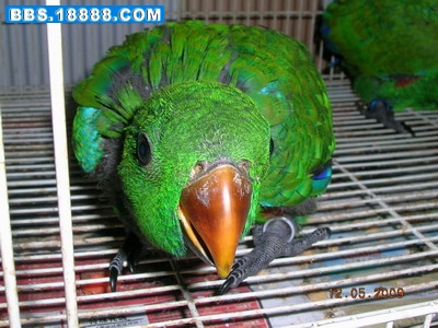 DSCN3197.JPG