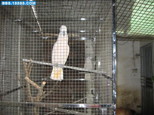 照片 046.jpg