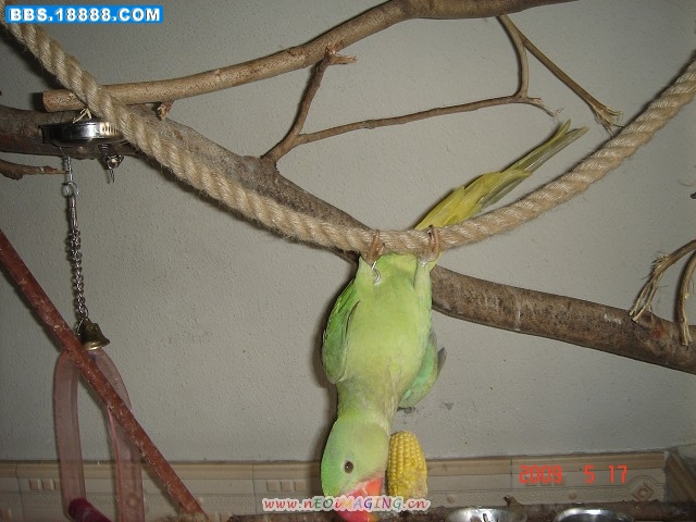 DSC03905.jpg
