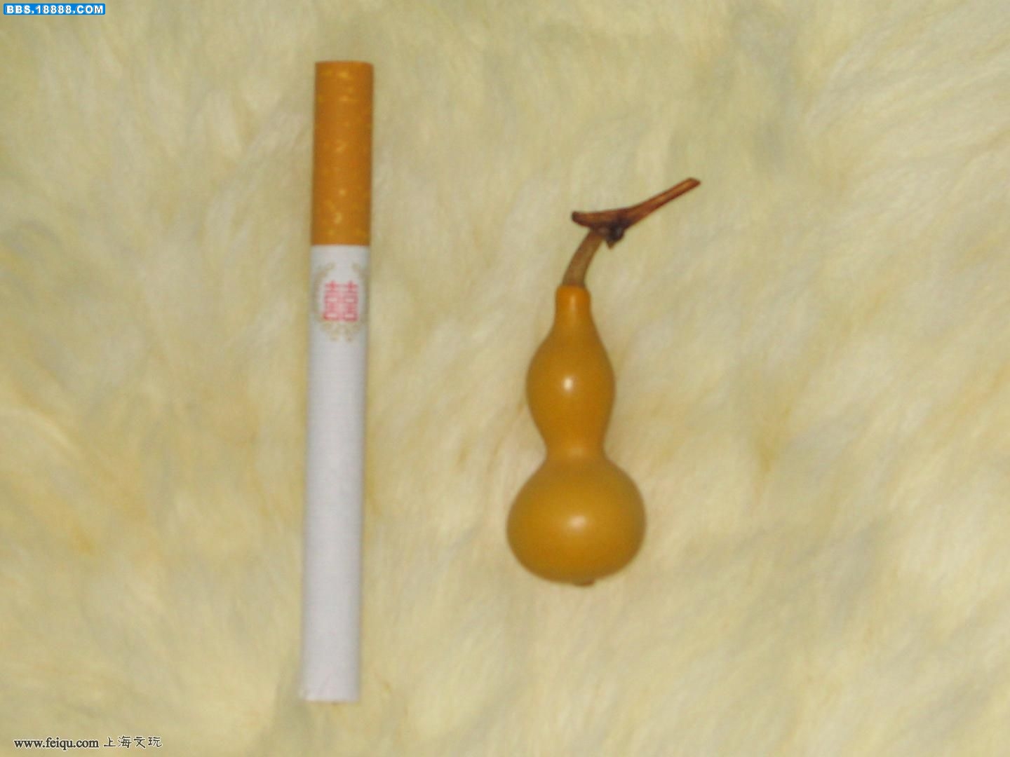 20090409_bef37c7969d1adffd909J1CvBdDaqpSK.jpg