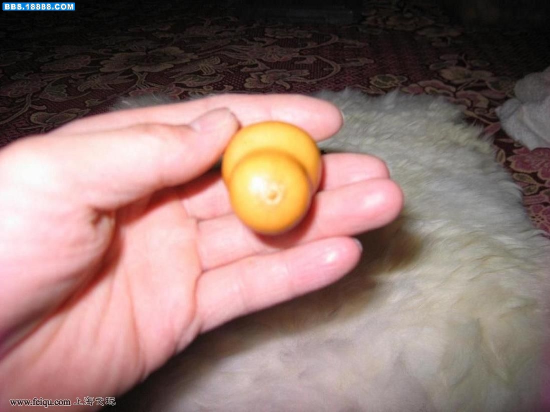 20090422_fa821001879a41313ef2VdzE6qbb8j8V.jpg