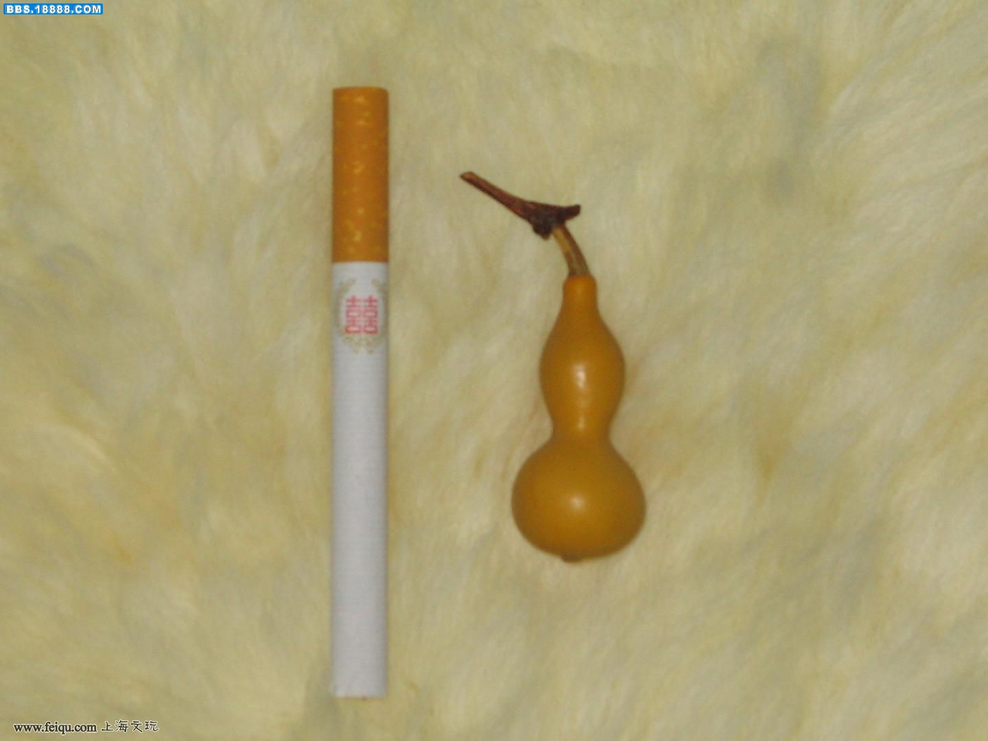 20090409_c01daa9f6b5cd4fbc98aQqXIMyWcghOs.jpg